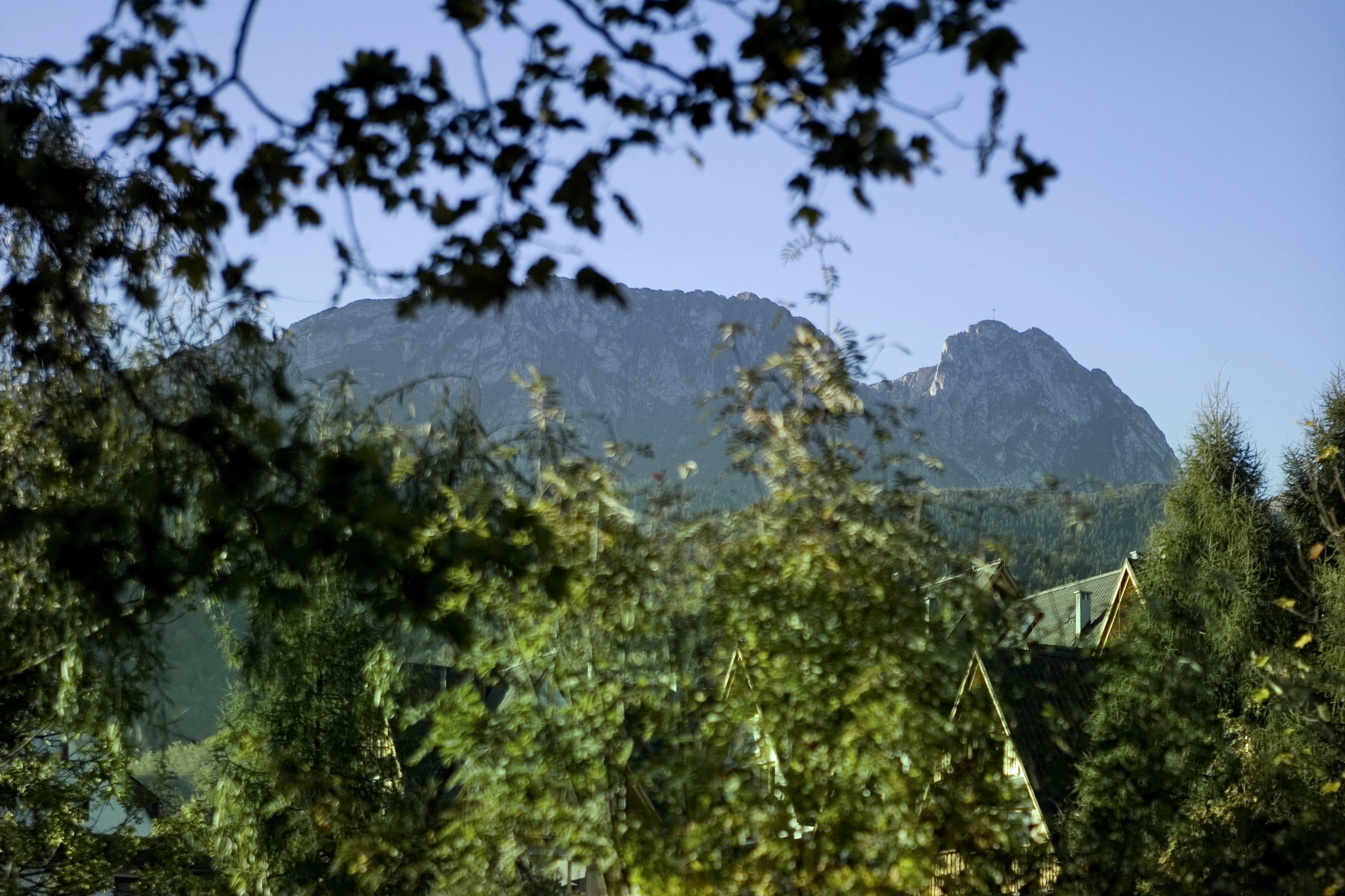 Hotel Szarotka Zakopane Exteriér fotografie