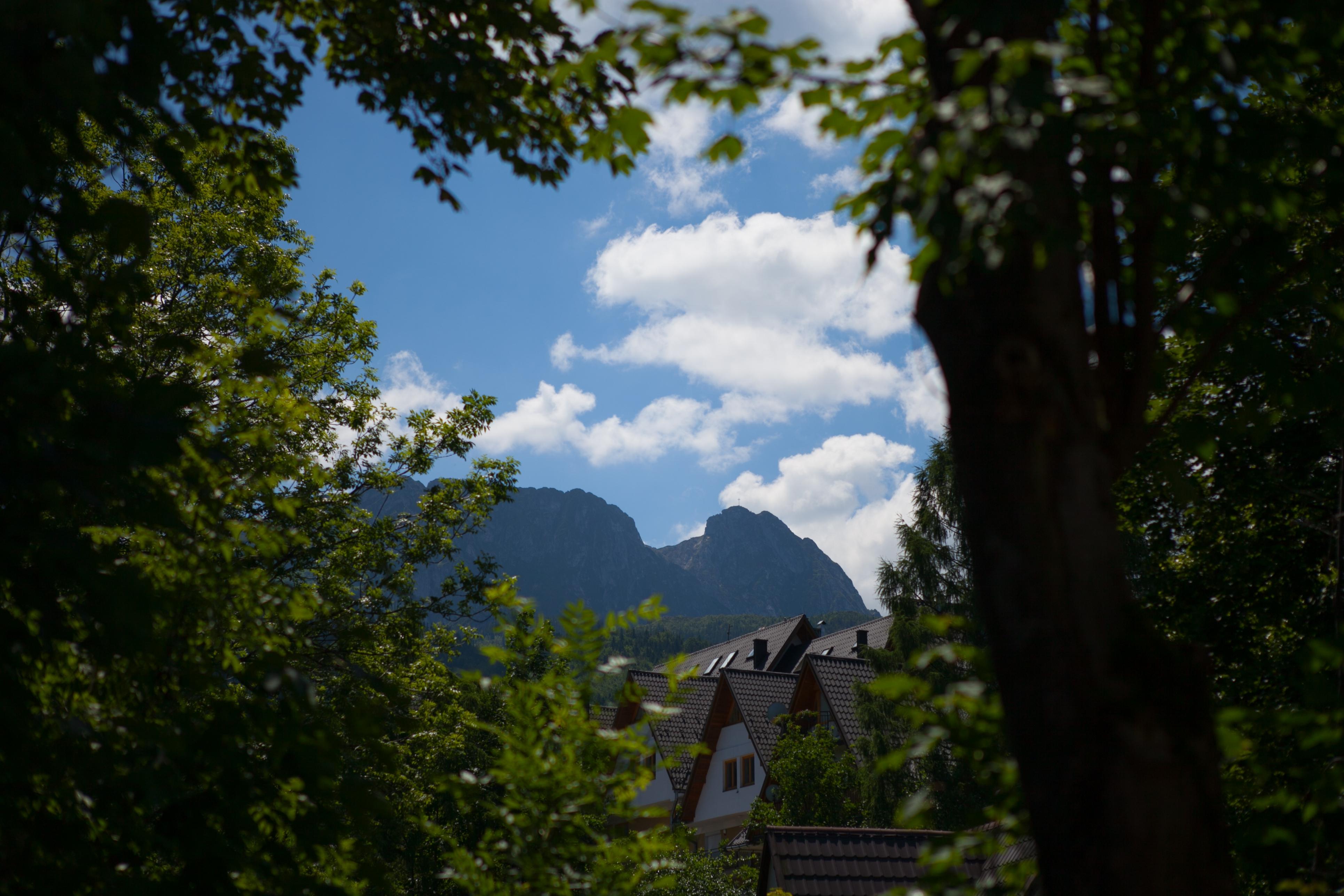 Hotel Szarotka Zakopane Exteriér fotografie