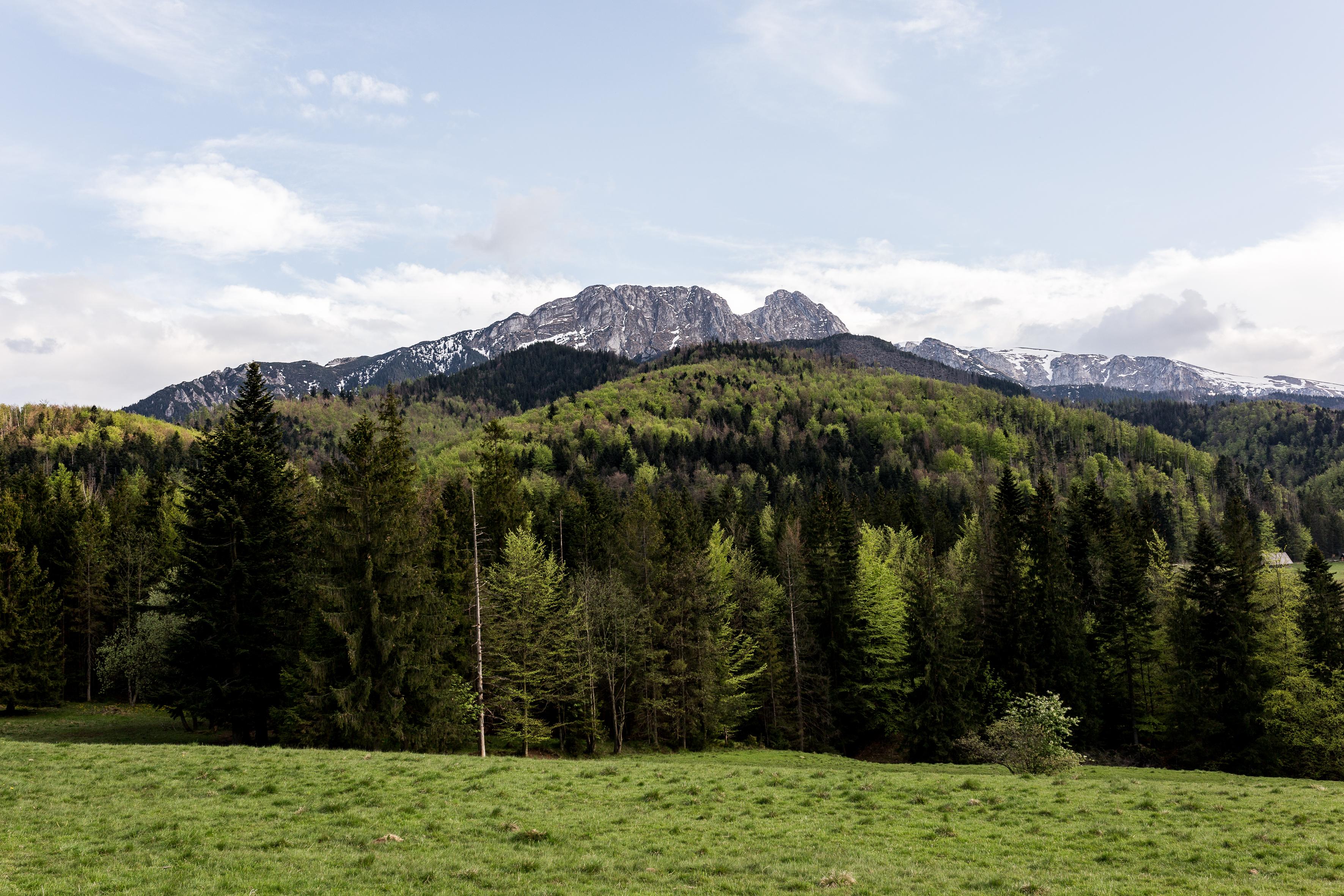 Hotel Szarotka Zakopane Exteriér fotografie